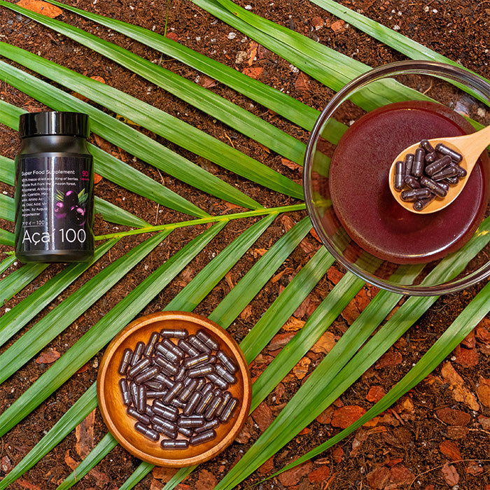 必須脂肪酸が豊富なアサイーパウダー